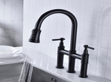 Pull Down Double Handle Kitchen Faucet 15569694