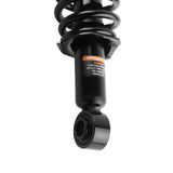 Rear Strut fit for Toyota Corolla Matrix Pontiac Vibe 2003 2004 2005 2006 2007 2008 36747306