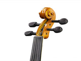 New 3/4 Acoustic Violin with Hard Case,Violin Bow,Shoulder Rest,Rosin,Extra Strings and Sourdine 52511877