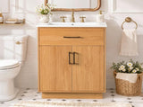 24-Inch Bathroom Vanity with Ceramic Sink, Soft-Close Doors, Modern Traditional Bathroom N729P517639N