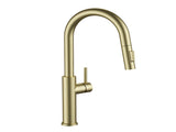 Kitchen Faucet with Pull Down Sprayer Brushed Gold T5879P505810