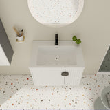 28 Inch Bathroom Vanity with Ceramic Sink, For Small Bathroom, Bathroom Vanity with Soft Close Door W999P146019