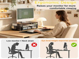 Monitor Stand Riser with Mesh Drawers & Pen Holders, 2 Tier Wood Metal Desktop Organizer, Computer 47072194