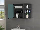 Roseburg 6-Shelf Medicine Cabinet with Mirorr Black Wengue B06280463