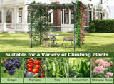 Large Garden Trellis Arch - 79"x59"x78" PE-Coated Metal, Rustproof Plant Support for Climbing Vines 62443253
