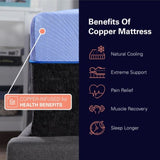 Refresh 12 inch Flex Head Hybrid Cooling Fast Responding Latex Foam and Coil Mattress, King Size B210P286889