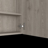 Kenya Medicine Cabinet, Mirror, Double Door, Four Interior Shelves B128P148727