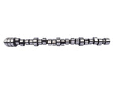Camshaft Replacement for 2012-2022 6.4L Hemi Chrysler 300 Dodge Challenger Charger Jeep OHV 19953130