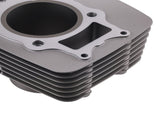 Cylinder Piston Top End Kit Set fit for Honda Rancher TRX350 12100-HN5 2000-2006 29006535