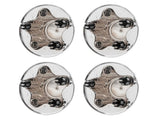 4 Pcs Chrome Wheel Center Hub Caps for 97-00 Ford F150 Expedition Alloy Rim ONLY 17098555