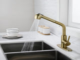 Single-Handle Pull-Out Sprayer Kitchen Faucet in Stainless Gold 63433235