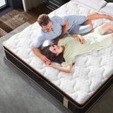 King Mattress, 10 Inch Plush Hybrid Mattresses with Memory Foam, Fiberglass-Free Mattress in a Box, B2716P318210