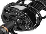 Set of 2 Front Struts w/ Coil Springs fit for Honda Accord 2013-2017 3.5L V6 272970 26448310
