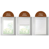 Bamboo Light Filtering Roman Shade 64"L B035129670