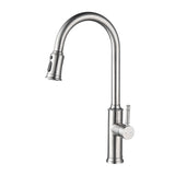 ZNTS Kitchen Faucet with Pull Down Sprayer W2287142963