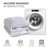 Two-pack of 100% polyester brushed single quilted comforters with microfiber filling, down 16698400