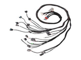 OBD2 D&B-series Tucked Engine Wire Harness Fit For 1992-2000 Honda Civic B16 B18 D16 11775816