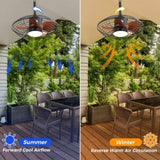 20 Inch Downrod Mount Ceiling Fan LED 18W 3CCT 5 ABS Blades DC Motor with Hanging and Hook for W934P230673