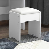 Fashion Vanity Desk with Mirror and Lights for Makeup and Chair, Vanity Mirror with Lights and Table W509120066