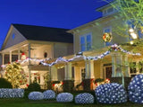 Colorful outdoor solar mesh lights, 6.6ft X 9.8ft fairy mesh lights with 200 LEDs, 8 modes, suitable 09068998