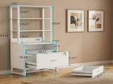 Vertical File Cabinet, 2-Drawer Filing Cabinet with Open Storage Shelves 53330321
