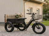 Electric Tricycle for Adults, Peak 1200W Step-Thru Etrike with 48V 13Ah Removable Battery,20"4.0" T6689P601001