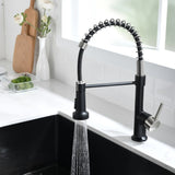 Commercial Black and Nickle Faucet with Pull Down Sprayer, Single Handle Single Lever W1932P172324