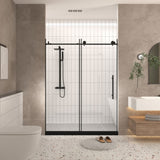 Frameless shower door 60 