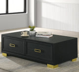 ZNTS 1pc Contemporary Coffee Table Storage Drawers Black Gold Finish Metal Pull Knob Living Room Wooden B011P245404