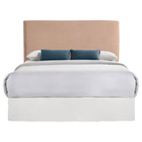 Blush Rectangular Headboard B062P153877