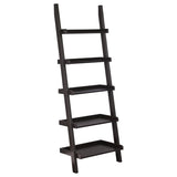 Cappuccino Ladder 5-Shelf Bookcase B062P153772