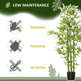 Artificial palm trees/Green plants 49223358