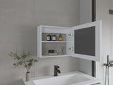 Medicine Cabinet 20.5" H, with 2 Shelves, 1 Door, and 1 Mirror, White B097P250869
