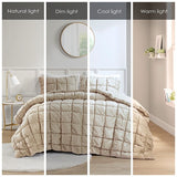 Full/Queen 3 Piece Comforter Set B035P203235