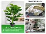 2-Pack 35.5" Artificial Fiddle Leaf Tree - 32 Realistic Leaves, PEVAPE Material, Green 40262150