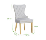 Simba Gold 2 Piece Dinning Chair Finish with Velvet Fabric in Light Gray 659436316324
