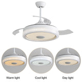 42 Inch Modern Invisible Ceiling Fan, 120V 3 ABS Blades Remote Control Reversible DC Motor With 36W W882P146897