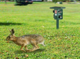 5 Modes Animal Repeller - Solar/USB Rechargeable, PIR Sensing, 3229Sq.ft Coverage, IP54 Waterproof, 17401052