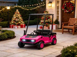 24V Kids Golf Cart 2WD 2-Seater Soft Start Rear Suspension Pink 93382424