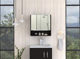 Manchester Rectangle Medicine Cabinet with Mirror Black Wengue B06280341