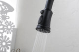 Kitchen Faucet with Pull Out Spraye W928101067