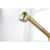 Single Handle Kitchen Sink Faucet with Pull Out Sprayer W2287P154031