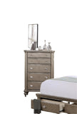 ZNTS Luxury Classic Antique Silver / Champagne Finish 1pc Chest of Drawers Storage Space Bedroom B011P211032