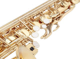 Alto Saxophone E-Flat Alto SAX Eb with 11reeds, case,carekit,Gold Color for 30684206