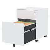 2 Drawer Mobile File Cabinet with Lock Steel File Cabinet for Legal/Letter/A4/F4 Size, Fully W252125346