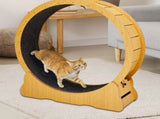 Cat Wheel Exerciser for Indoor Cats, 39.4-inch Large Cat Exercise Wheel for Running Silent, Cat 28135917