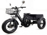Electric Tricycle for Adults, Peak 1200W Step-Thru Etrike with 48V 13Ah Removable Battery,20"4.0" T6689P601001