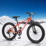 ZNTS S24109 24 Inch Fat Tire Bike Adult/Youth Full Shimano 7 Speeds Mountain Bike, Dual Disc Brake, W1856107353