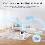 Air Purifier for Home Large Room Allergies Pet Hair in 54413774
