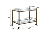 Aditya Mirrored & Antique Brass Finish Serving Cart B2726P448767